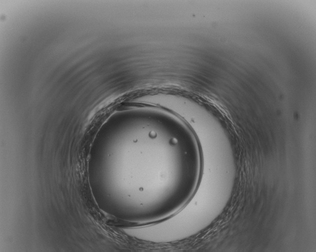 X0000063500920200601271741