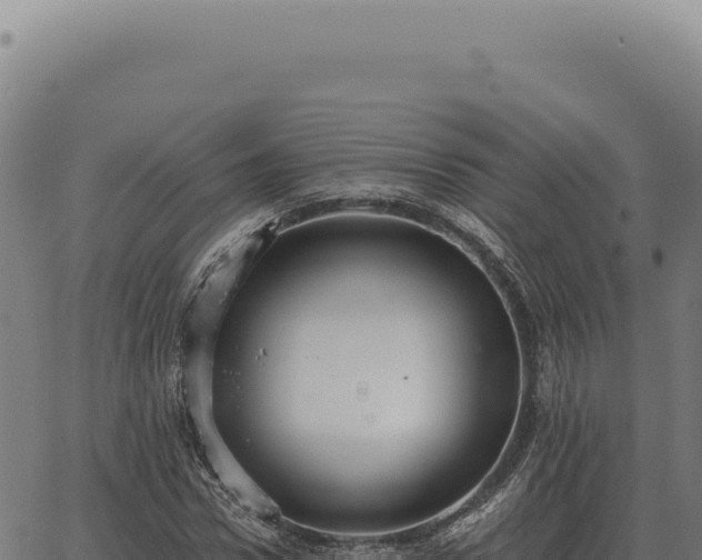 X0000063500922200601271741