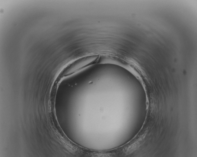 X0000063500924200601271741