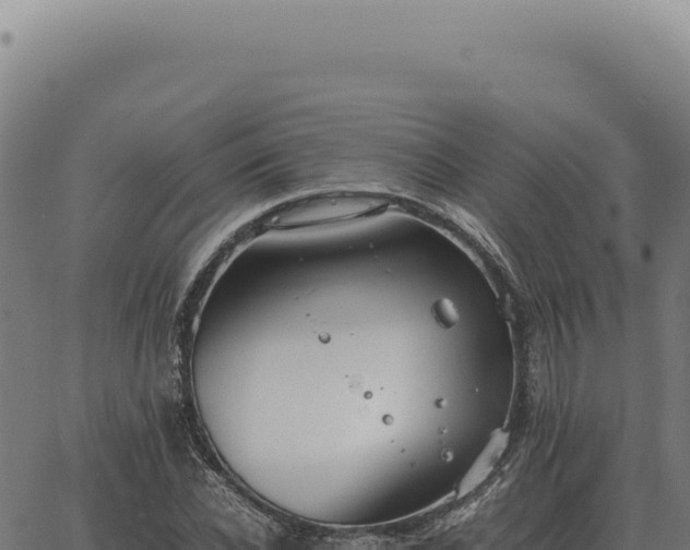 X0000063500926200601271741