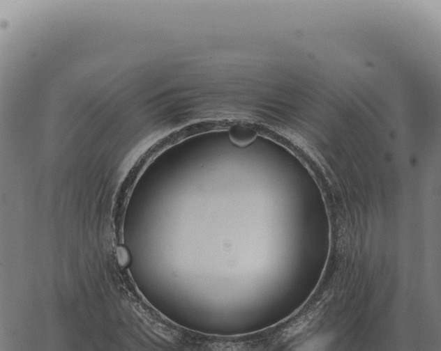 X0000063500927200601271741