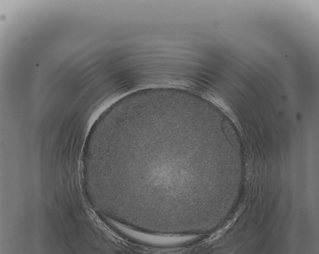 X0000063500928200601271741