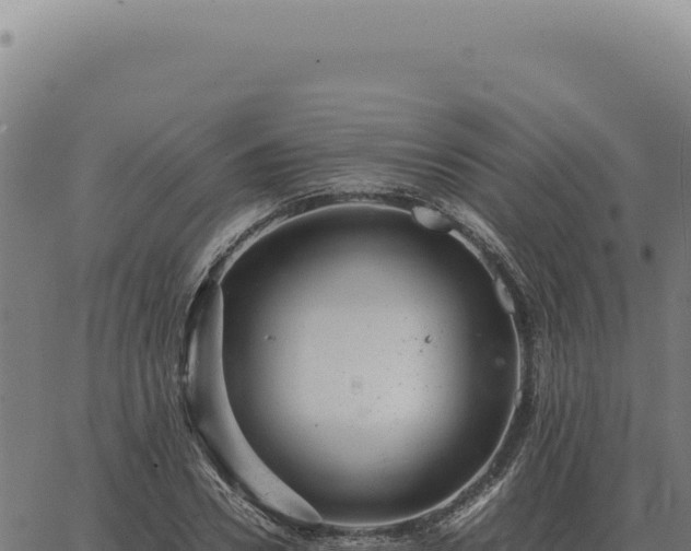 X0000063500930200601271741