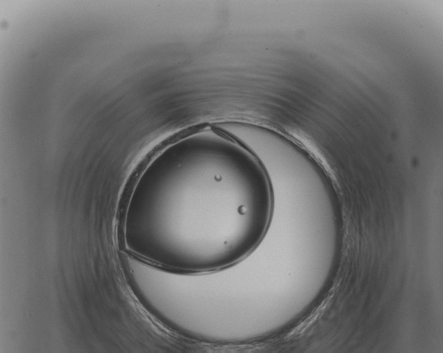 X0000063500932200601271741