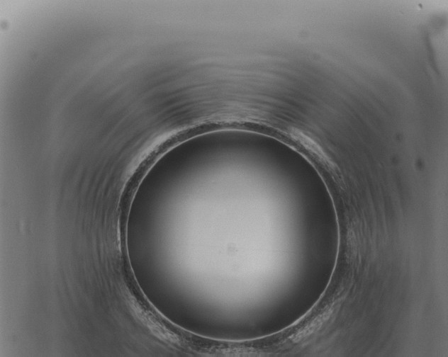 X0000063500934200601271741