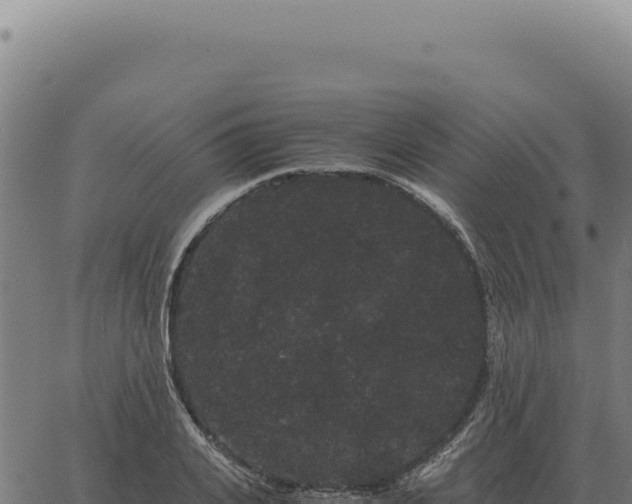 X0000063500935200601271741