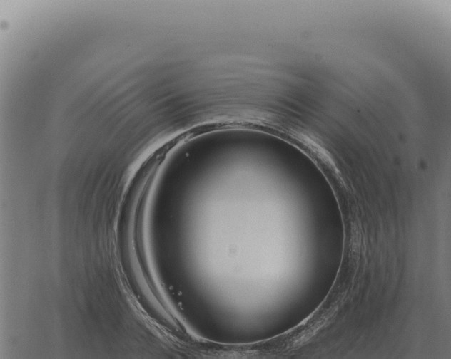 X0000063500936200601271741