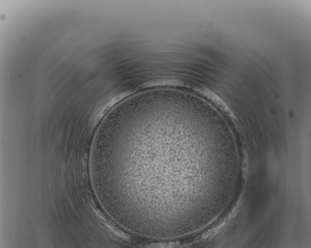 X0000063500937200601271741