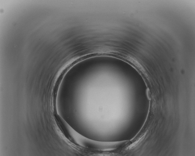 X0000063500939200601271741