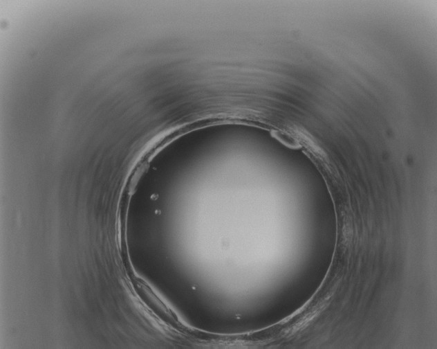 X0000063500940200601271741