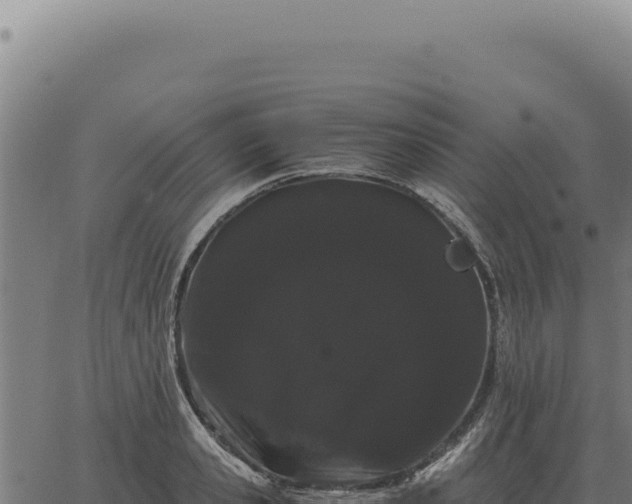 X0000063500941200601271741