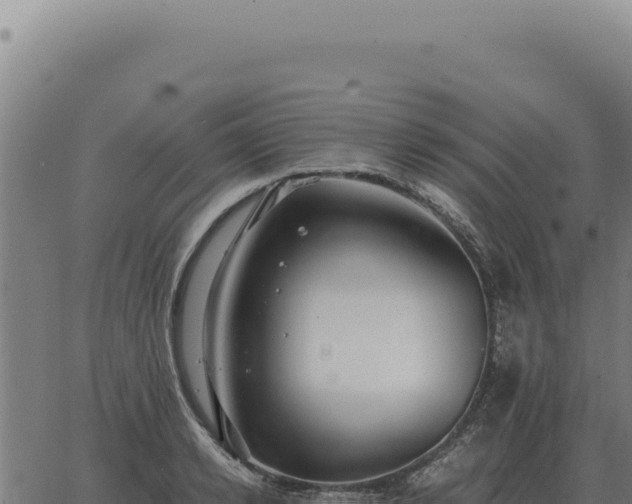 X0000063500942200601271741