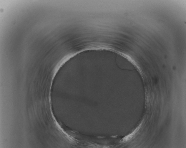 X0000063500943200601271741