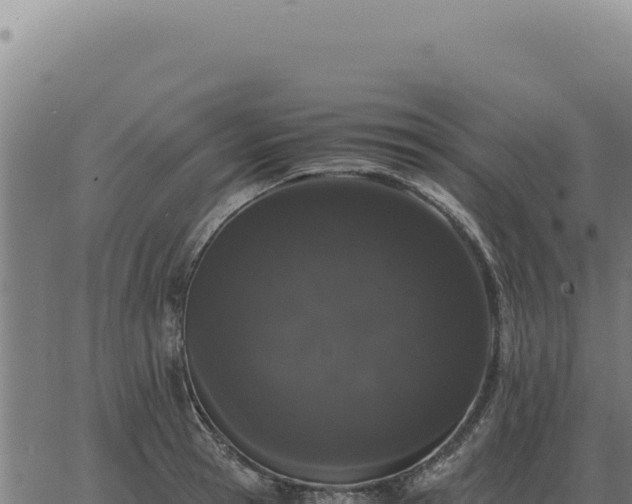 X0000063500945200601271741