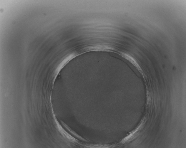 X0000063500946200601271741