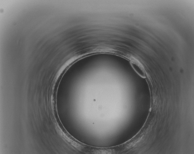 X0000063500947200601271741