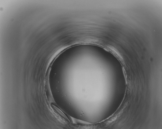 X0000063500948200601271741