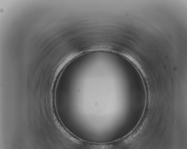 X0000063500949200601271741