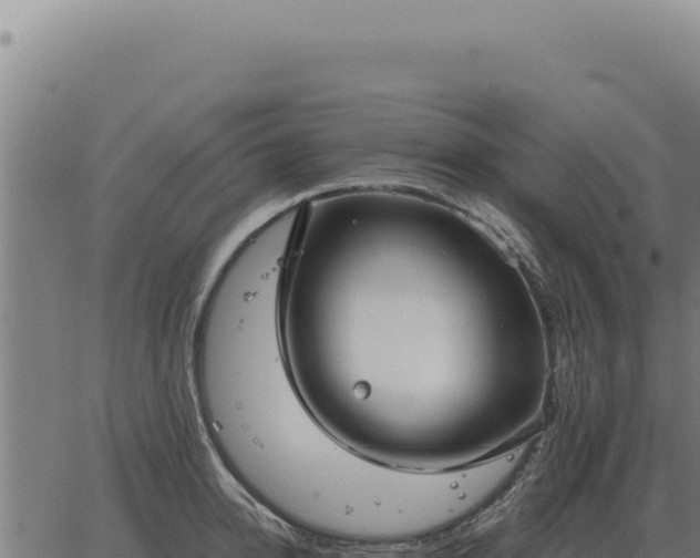 X0000063500950200601271742