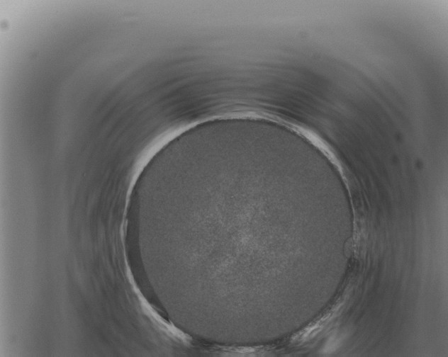 X0000063500951200601271742