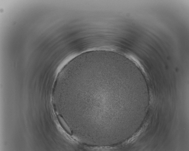 X0000063500952200601271742