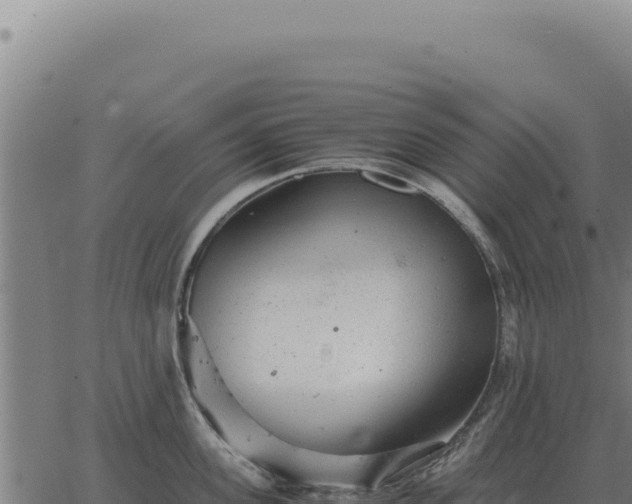 X0000063500955200601271742