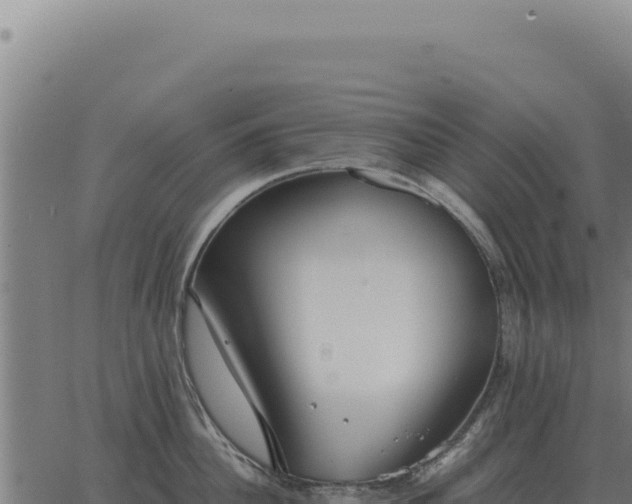 X0000063500956200601271742