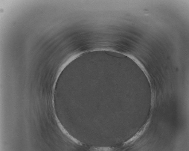 X0000063500957200601271742