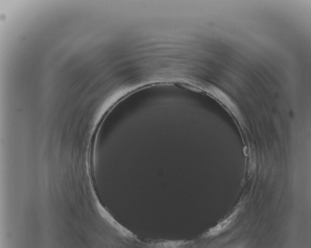 X0000063500958200601271742