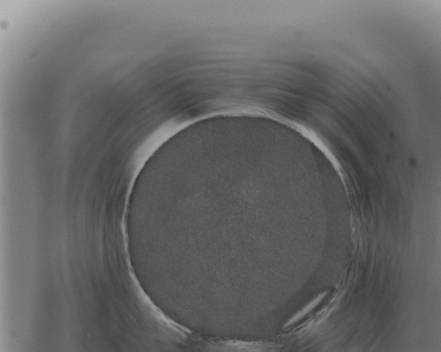 X0000063500959200601271742