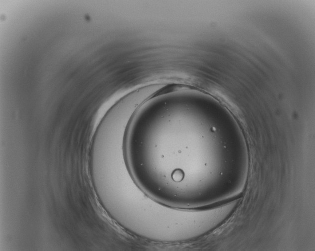 X0000063500960200601271742