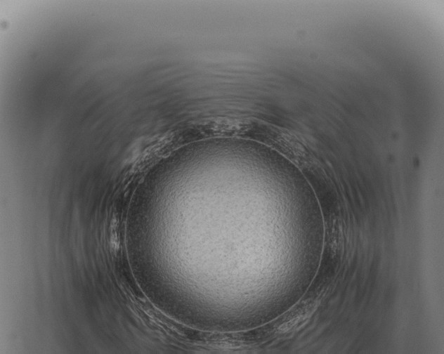 X0000063500962200601271741