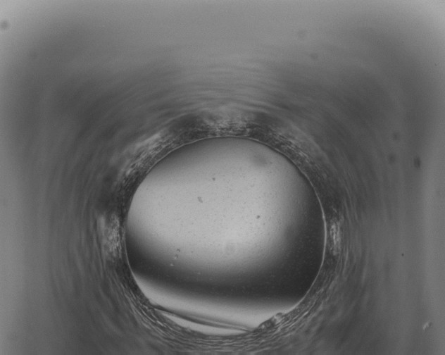 X0000063500963200601271741