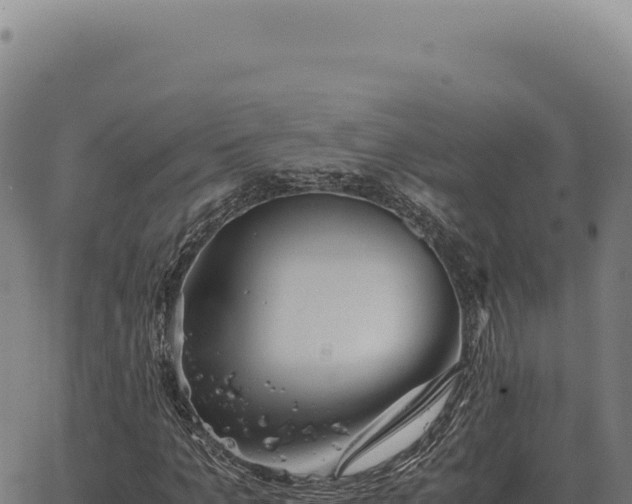 X0000063500965200601271741