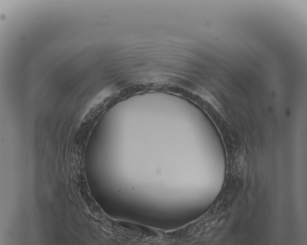 X0000063500967200601271741