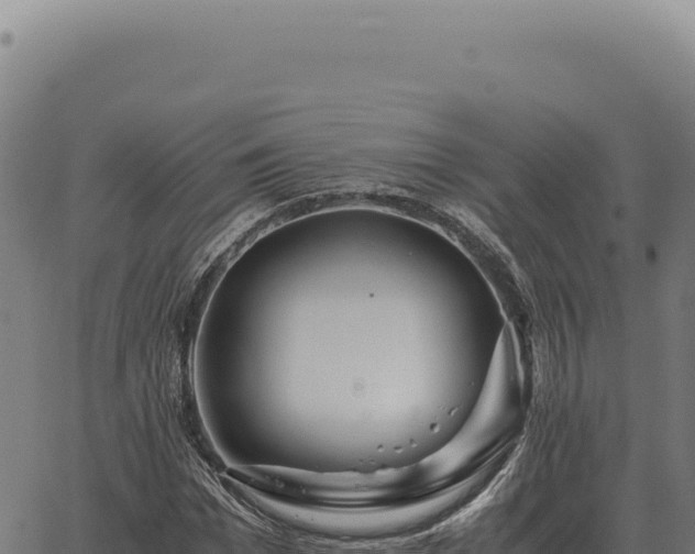 X0000063500969200601271741