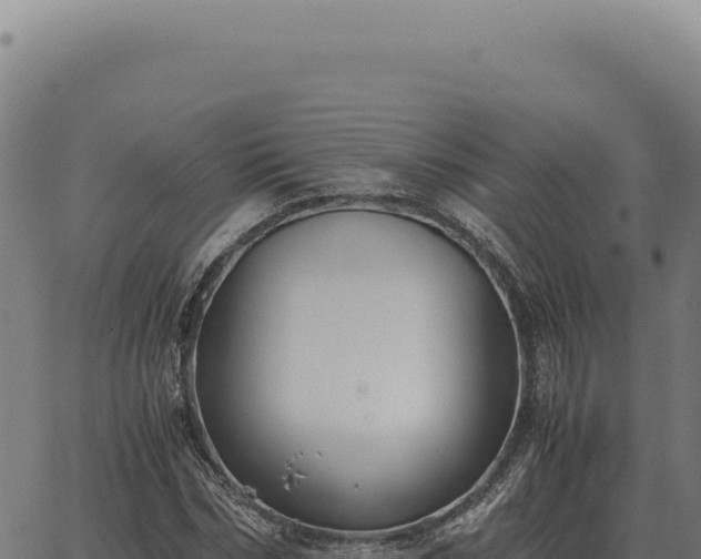 X0000063500970200601271741