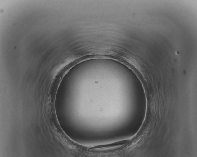 X0000063500971200601271741