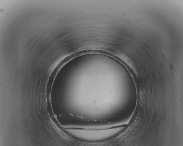 X0000063500972200601271741