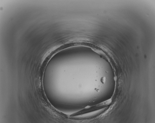 X0000063500973200601271741