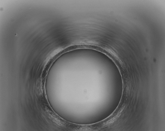 X0000063500974200601271741