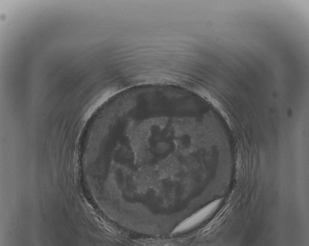 X0000063500975200601271741