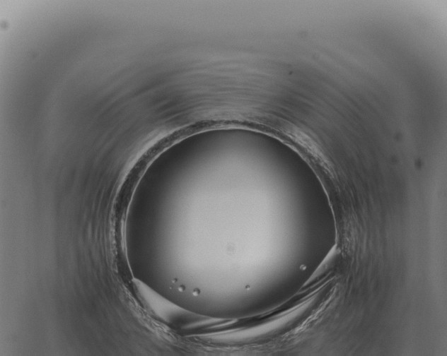 X0000063500976200601271741