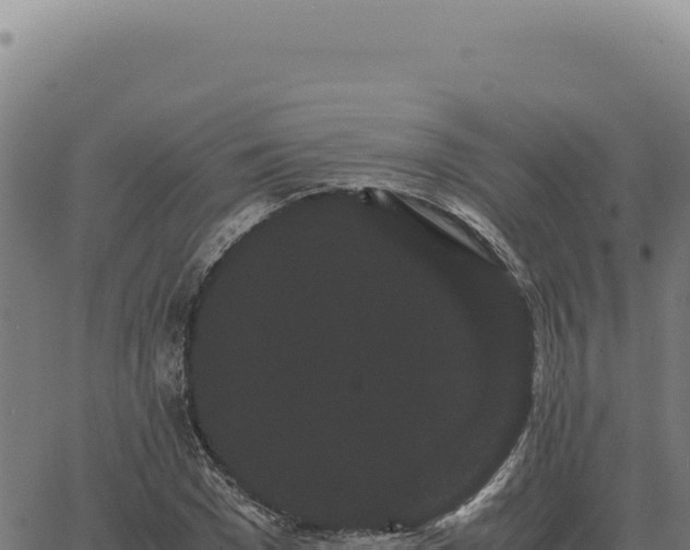 X0000063500977200601271741