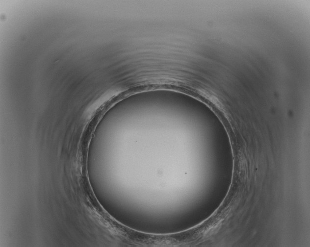 X0000063500979200601271741