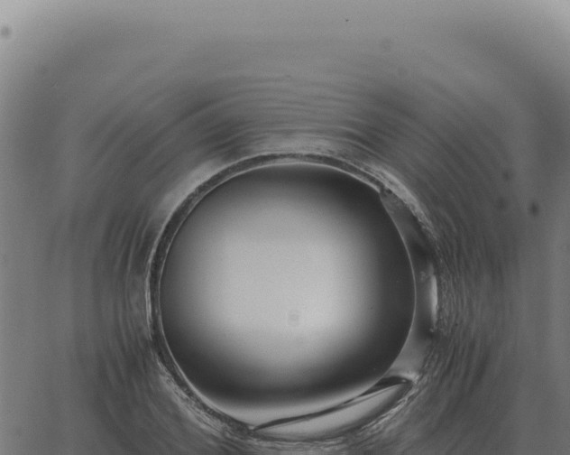 X0000063500980200601271741