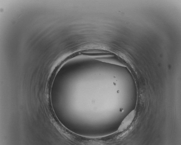 X0000063500981200601271741