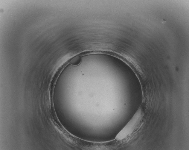 X0000063500982200601271741