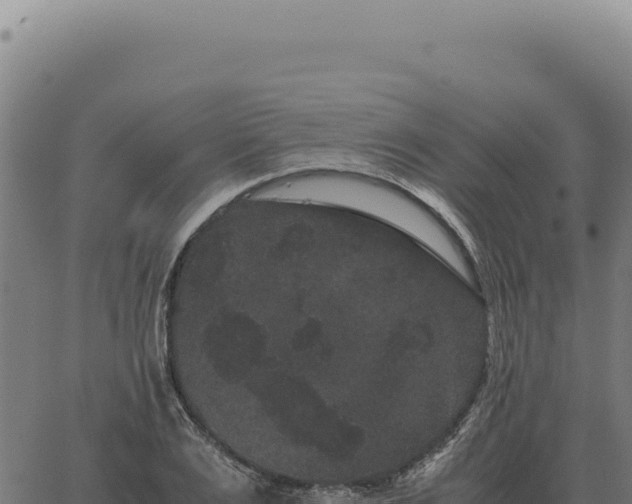 X0000063500983200601271741