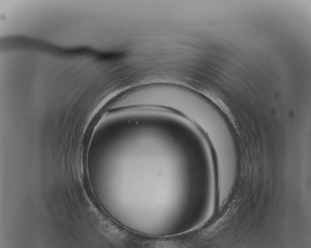 X0000063500984200601271740